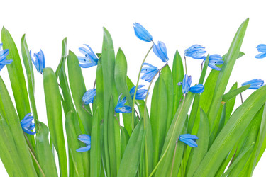 Similar image 21970967