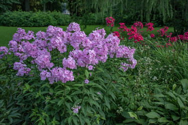 Similar image 21969518