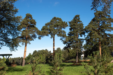 Similar image 21969519