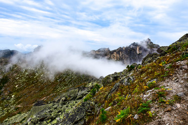 Similar image 21970065