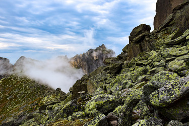 Similar image 21970066