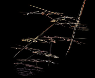 Similar image 21972471