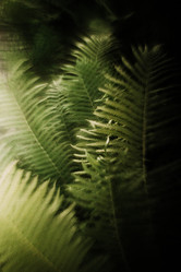 Similar image 21971403