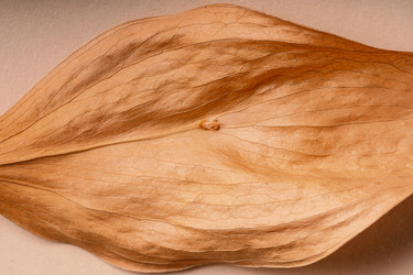 Similar image 21969663