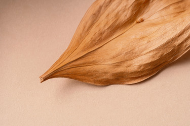 Similar image 21969664