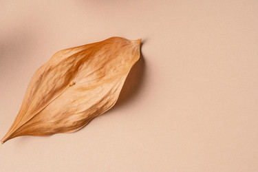 Similar image 21969665