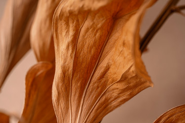 Similar image 21969666