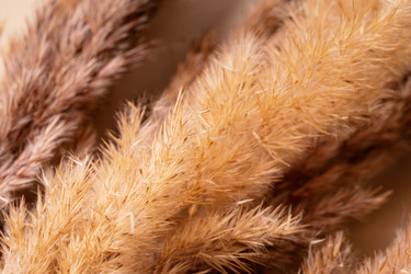 Similar image 21969667