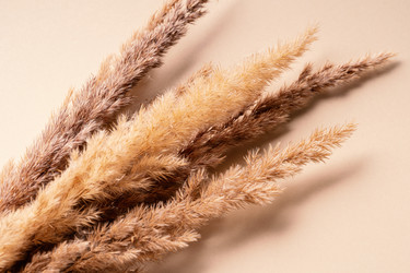 Similar image 21969668