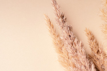 Similar image 21969669