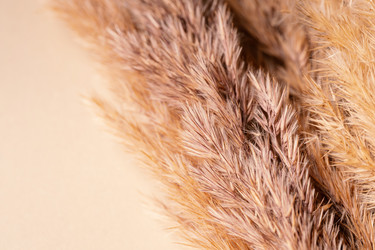 Similar image 21969670