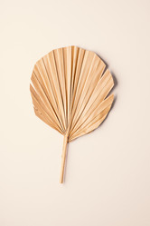 Similar image 21969672