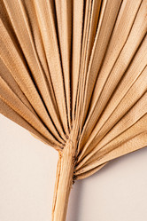 Similar image 21969674