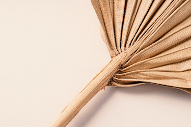 Similar image 21969675