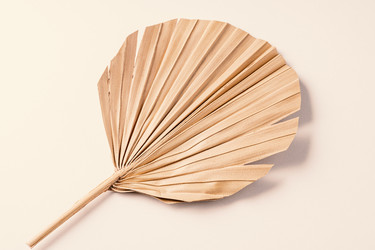 Similar image 21969678