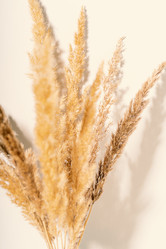 Similar image 21969683