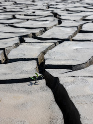 Similar image 21969684