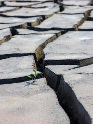 Similar image 21969686