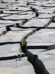 Similar image 21969687