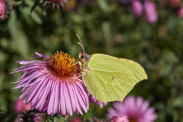 Similar image 21969344