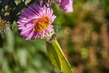 Similar image 21969345