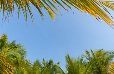 Similar image 21969701