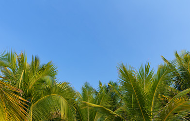 Similar image 21969702