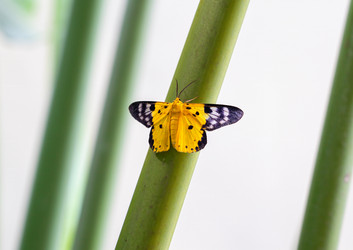 Similar image 21969703