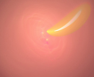 Similar image 21972871