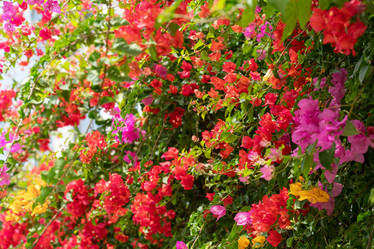 Similar image 21969708