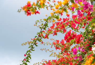 Similar image 21969709