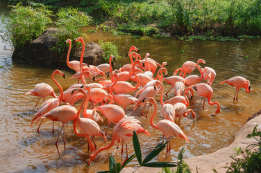 Similar image 21969713