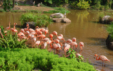 Similar image 21969714