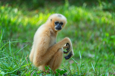 Similar image 21969718