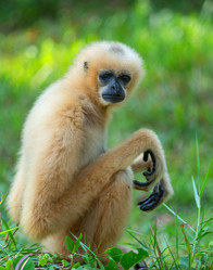 Similar image 21969719