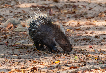 Similar image 21969720