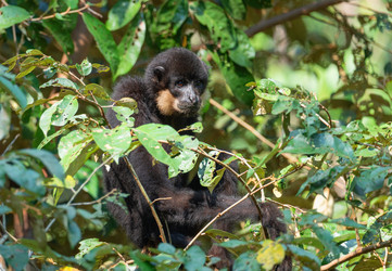 Similar image 21969721