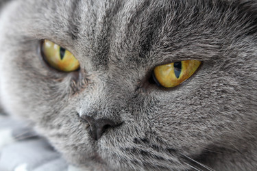 Similar image 21970069