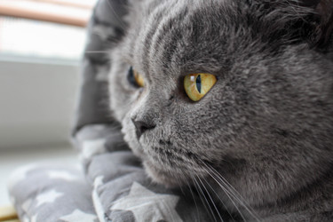 Similar image 21970070