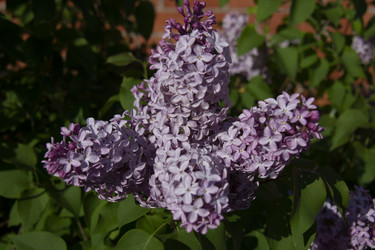 Similar image 21970817