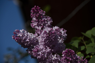 Similar image 21970818