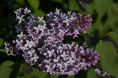 Similar image 21970819