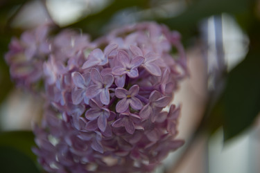 Similar image 21970821