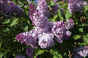 Similar image 21970822