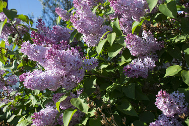 Similar image 21970823