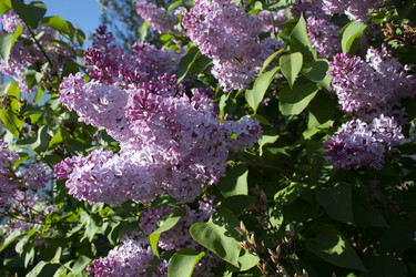 Similar image 21970824