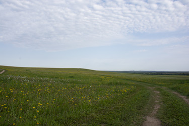 Similar image 21970825