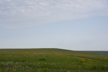 Similar image 21970826