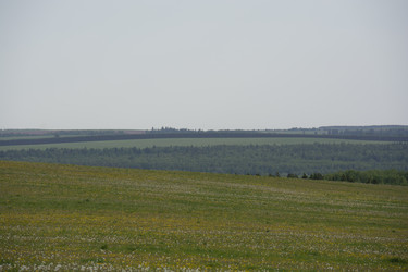 Similar image 21970828