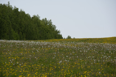 Similar image 21970829